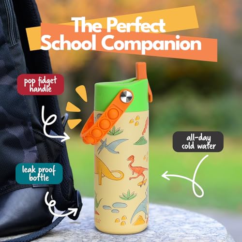 Elemental Insulated Kids Water Bottle, Stainless Steel Water Bottle with Straw Lid & Pop-It Handle, Leak-Proof Water Bottles for School, Boys or Girls, Travelling and Sports, 18oz - Skater Dinos - color: Skater Dinos