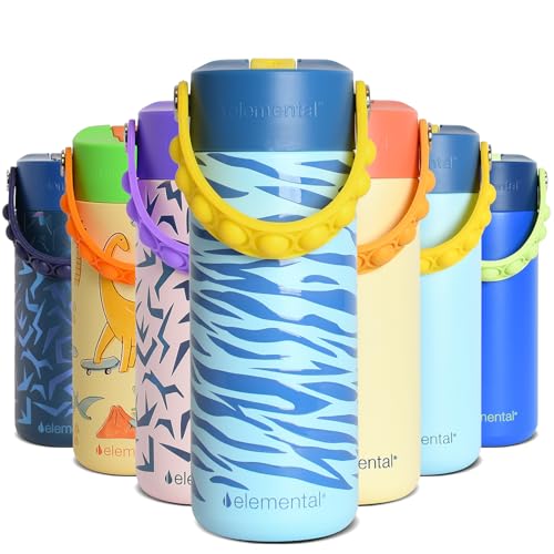 Elemental Insulated Kids Water Bottle, Stainless Steel Water Bottle with Straw Lid & Pop-It Handle, Leak-Proof Water Bottles for School, Boys or Girls, Travelling and Sports, 18oz - Spirit Tiger - color: Spirit Tiger