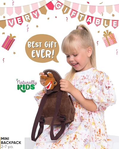 Dinosaur Mini Backpack for Kids, Mini Backpack for Toddler Girls, Gift for 2 3 4 5 Year Old Girl Boy - color: 01 Dinosaur, style: Mini