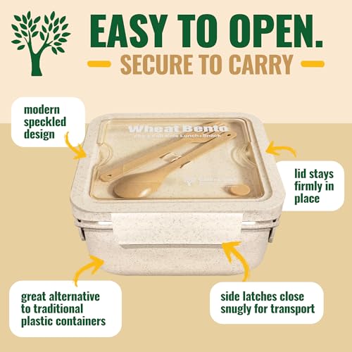 GreenLunch Bento Lunch Box for Kids, Large 2-Compartment, Durable and Microwave Safe, BPA-Free with Utensils, Wheat Straw Snack Containers for Kids – Beige - color: Natural
