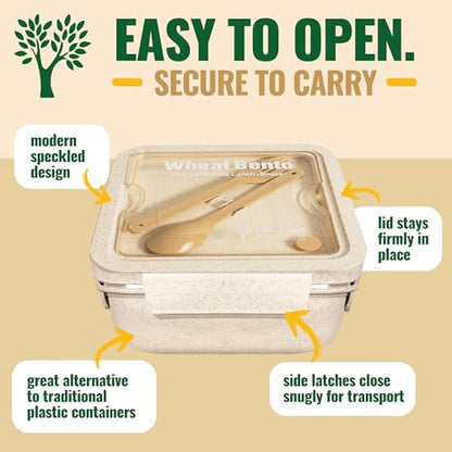 GreenLunch Bento Lunch Box for Kids, Large 2-Compartment, Durable and Microwave Safe, BPA-Free with Utensils, Wheat Straw Snack Containers for Kids – Beige - color: Natural