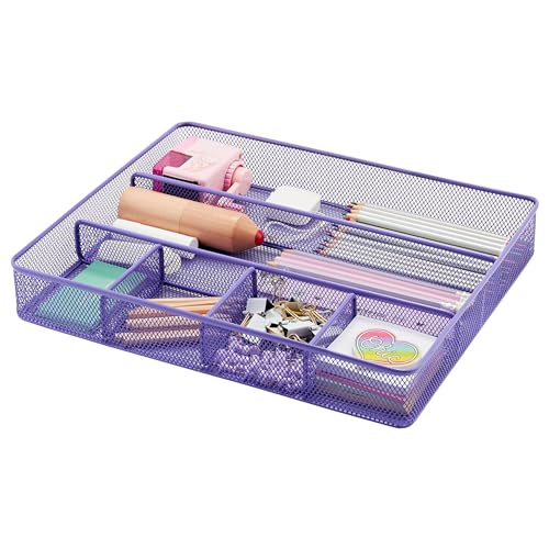 Annova Desk Top Organizer Tray for Office Organization - Metal Mesh - Storage Tray with Dividers for Pens, Desktop Accessories, Bathroom, Kitchen, Makeup and Office Supplies (Large, Purple) - color: Purple, size: Large