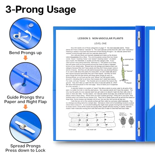 Dunwell Plastic Folders with 3 Prongs, (24 Pack, Blue), 2-Pocket Folders with Fasteners, Durable Acid-Free Poly for Long Term Use, Labels Included - color: Blue, size: 24 Pack