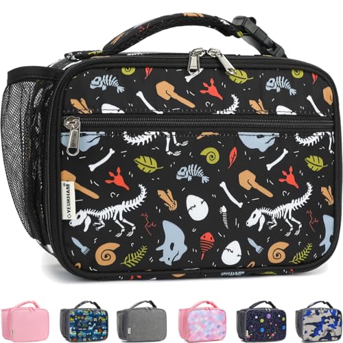 GYEUKHAM Insulated Lunch Box for School, Thermal Reusable Durable Freezable Lunch Bags for Kids Boys Girls Men Women - Small Soft Cooler Portable Lunch Tote Kit for Work Picnic Travel,Dinosaur Fossil - color: Dinosaur Fossil