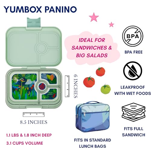 Yumbox Panino Leakproof Bento Lunch Box (Sage Green with Jungle Tray) | Sandwich Size, Removable Tray, Lightweight, Compact, Fits Standard Lunch Bags, Easy to Clean - color: Sage Green Jungle