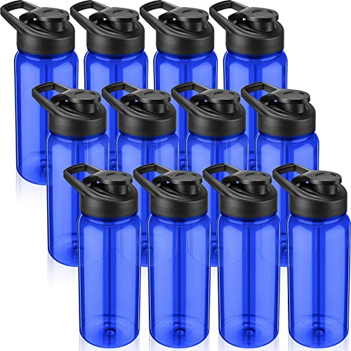 Mimorou 12 Pcs Plastic Water Bottles Bulk 17 oz Reusable Sports Bottles Portable Sports Drink Cups Pack with Handle for Kids Adults School Teams Gym Hike Camping Cycling(Blue) - color: Blue