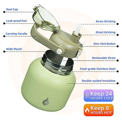 BJPKPK Insulated Water Bottles with Straw, 20 oz Cute Water Bottles with Handle, BPA Free Stainless Steel Metal Jug, Easy Carry Flasks for Men & Women, Light Green - color: 20 ozLight Green, size: 20 Ounces