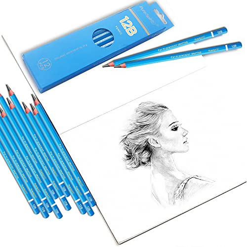 Sketch Pencils for Drawing 12B, 12pcs Softest and Darkest Professional Graphite Pencils, Art Drawing Pencils for Shading for Artists & Beginners - style: 12B 12pcs