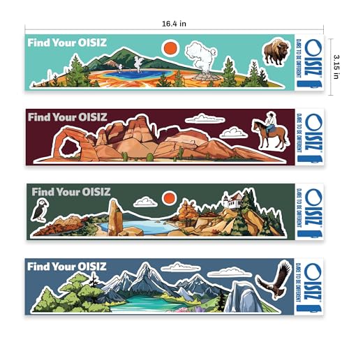 OISIZ Insulated Water Bottle 24 oz with 2 in 1 Spout and Straw Lid,Sticker-Themed Bottles,One Random Selection from 4 Themes,100% Leakproof,Keep Cold 24H,Stainless Steel Water Bottle,1 Pack - color: nature explorer, size: 24 Ounces