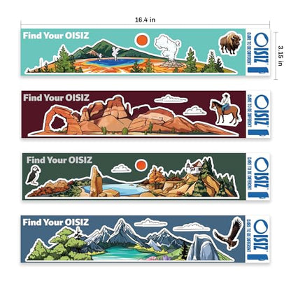 OISIZ Insulated Water Bottle 24 oz with 2 in 1 Spout and Straw Lid,Sticker-Themed Bottles,One Random Selection from 4 Themes,100% Leakproof,Keep Cold 24H,Stainless Steel Water Bottle,1 Pack - color: nature explorer, size: 24 Ounces