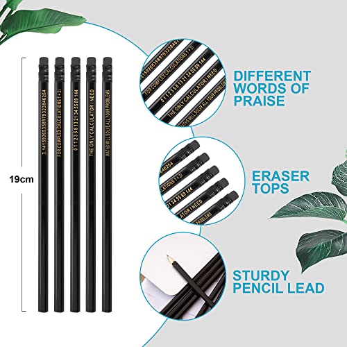 Set of 10 Math Pencils，HB Black Refills/Complex Calculations Golden Physics Statistics Graduation Teacher Gift Scientist Mathematics Maths Puns (Maths Pencils) - style: Maths Pencils