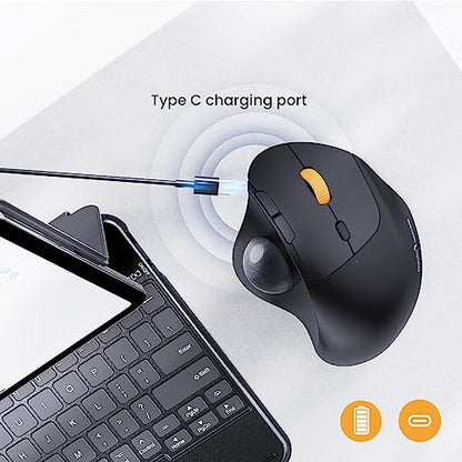 ProtoArc Wireless Trackball Mouse, EM04 Ergonomic Bluetooth Rollerball Rechargeable Computer Laptop Thumb Control Mouse, Compatible with PC, iPad, Mac, Windows-Gray Ball