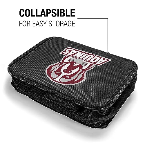 Aquinas College Primary Logo Lunch Bag For School Office Work, BPA Free - color: Aquinas College