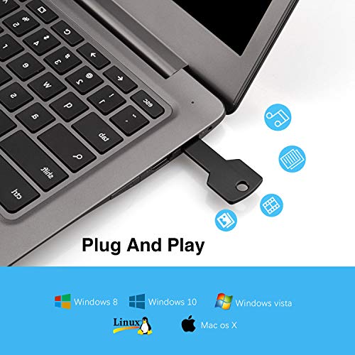 RAOYI 10 Pack 2GB USB Flash Drive USB 2.0 Metal Key Shape Memory Stick Thumb Drive Pen Drive-Black - color: Black, size: 2GB