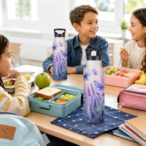 Water Bottles with Straw,Purple Butterfly Stainless Steel Cup Leak Resistant Double Wall Lavender Insulated Water Bottle with Handle for Gym Cycling Hiking Office 20 oz - color: Purple Butterfly,Lavender