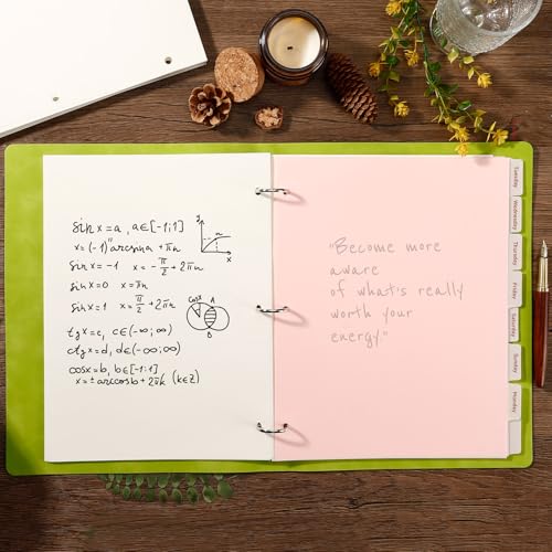 8 Tab Pink Binder Dividers, Plastic Binder Dividers for 3 Ring Binders, 8.3 x 11 Inch Index Divider for Binders, 3 Hole Punched Page Divider for Office School Notebooks - color: Pink