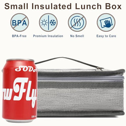 FlowFly Small Insulated Lunch box Portable Soft Bag Mini Cooler Thermal Meal Tote Kit with Handle for Work & School, Heather Grey - color: Healther1#Grey