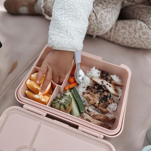 nouka Chill Bento Lunch Box | Easy to Open Latches | Spill Proof Design | 6-Compartment Removable Tray | Deep Ocean
