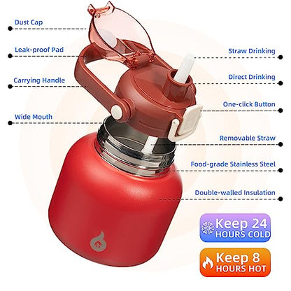 BJPKPK Insulated Water Bottles with Straw, 20 oz Cute Water Bottles with Handle, BPA Free Stainless Steel Metal Jug, Easy Carry Flasks for Men & Women, Red - color: 20 ozRed, size: 20 Ounces