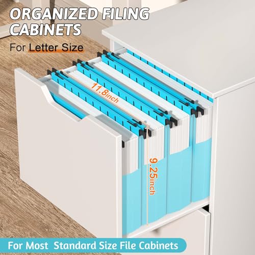 Plastic Hanging File Folders Expandable,12 Pack Extra Capacity Hanging File Folder Letter Size,2 Inch Expansion Heavy Duty Folders,Adjustable Tabs,Hanging Folder Designed for Bulky Files(Blue) - color: Blue