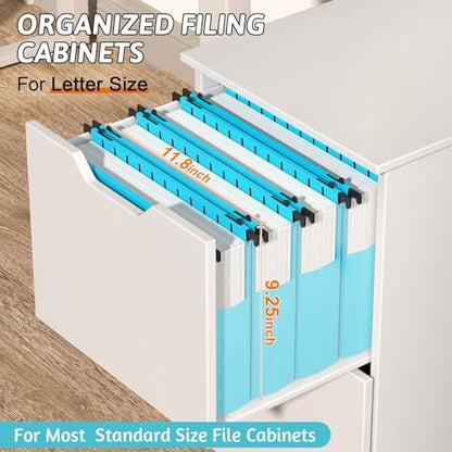 Plastic Hanging File Folders Expandable,12 Pack Extra Capacity Hanging File Folder Letter Size,2 Inch Expansion Heavy Duty Folders,Adjustable Tabs,Hanging Folder Designed for Bulky Files(Blue) - color: Blue