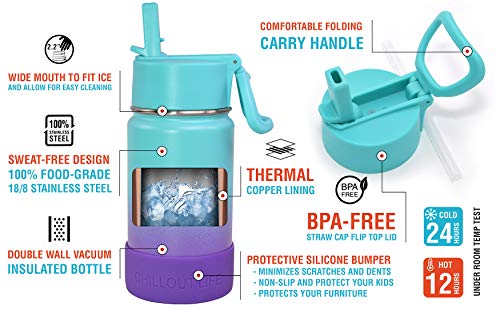 CHILLOUT LIFE 12oz Kids Insulated Stainless Steel Water Bottle with Leak Proof Straw Lid & 144 Stickers - color: Caribbean Lily, style: 12 oz