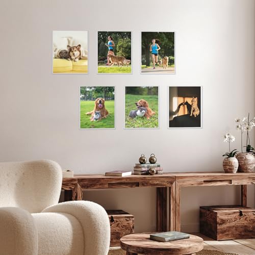 Ndsox 5 Pack 8" x 10" Rigid Print Protectors Clear Hard Plastic Sheet Protectors Top Loading for Photographs, Photo Papers, Posters, Prints, Birth Certificates, Heavy Duty No-Hole Rigid Photo Sleeves - size: 8" x 10"