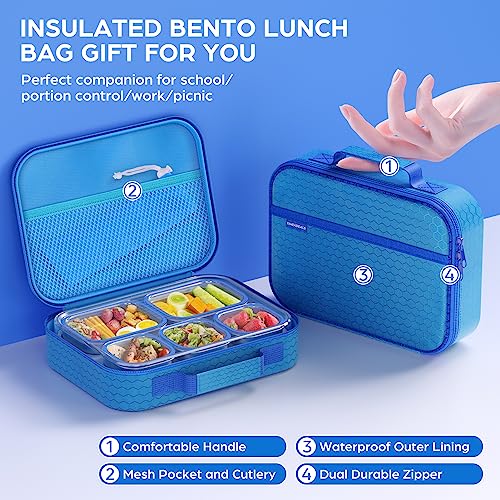 Bento Box Stainless Steel Lunch Box Set with for Lunch Bag Kids Adult 5-Compartment Leakproof Insulated Lunch Containers with Utensils for School Works, Metal Lunchbox Tray BPA-Free (Blue)
