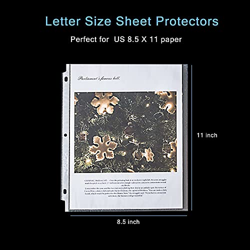 Seashell 300PCS Non-Glare Sheet Protectors 8.5 x 11, Page Protectors Reinforced 3 Holes, 2 Mil Thick Top Loading Page Protectors, Plastic Sleeves for 3 Ring Binder, Acid Free & Archival Safe - size: Economy Box of 300