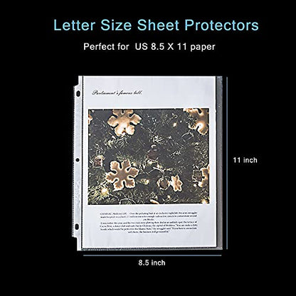Seashell 300PCS Non-Glare Sheet Protectors 8.5 x 11, Page Protectors Reinforced 3 Holes, 2 Mil Thick Top Loading Page Protectors, Plastic Sleeves for 3 Ring Binder, Acid Free & Archival Safe - size: Economy Box of 300