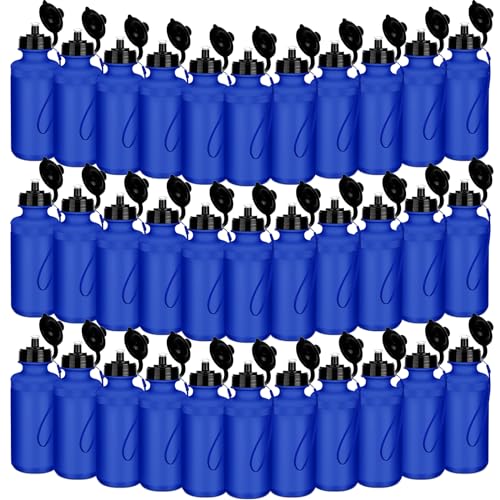 Ziliny 72 Pcs Resuable Water Bottles Bulk for Kids 20 oz Squeeze Sports Plastic Water Bottles with Lanyards Blank DIY Cups for VBS Back School Operation Christmas Summer Camp - color: Blue