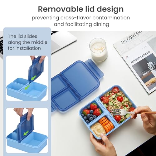 HWONMTE 2 Pack Bento Lunch Snack Boxes Set for Kids Reusable Food Containers Removable Dividers for Toddler Girls Boys Teens to School,Travel (2 Pack Blue) - color: 2 Pack Blue