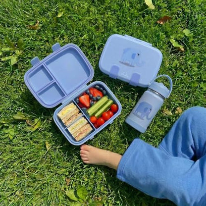 Kids Bento Explorer Lunch Box, 3 No-Mix Compartments, Microwave & Dishwasher Safe, Lightweight with Removable Tray, for Daycare, Preschool, School (Blue Ice) - color: Blue Ice