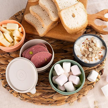 9 oz Small Round Food Storage Containers with Lids Set of 10, Airtight Leakproof Reusable, Plastic To Go Bento Box, Mini Lunch Box, Snack Storage Bowl, for Kitchen, Picnic (10)