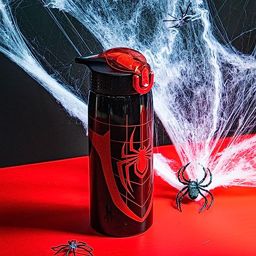 Zak Designs Marvel Spider-Man Water Bottle for Travel and At Home, 19 oz Vacuum Insulated Stainless Steel with Locking Spout Cover, Built-In Carrying Loop, Leak-Proof Design (Miles Morales) - color: Marvel Spider-Man