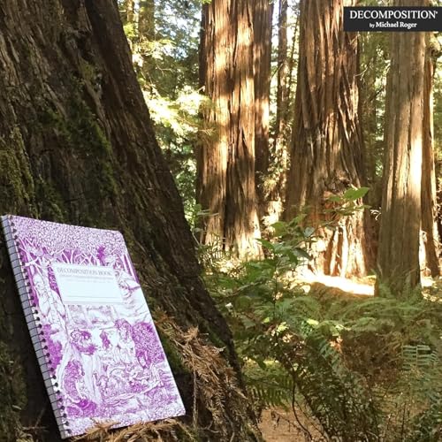 Decomposition Fairy Tale Forest College Ruled Spiral Notebook - 9.75 x 7.5 Journal with 160 Lined Pages - 100% Recycled Paper - Cute Notebooks for School Supplies, Home & Office - Made in USA - color: Fairy Tale Forest, style: Spiral-bound