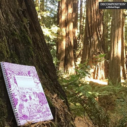 Decomposition Fairy Tale Forest College Ruled Spiral Notebook - 9.75 x 7.5 Journal with 160 Lined Pages - 100% Recycled Paper - Cute Notebooks for School Supplies, Home & Office - Made in USA - color: Fairy Tale Forest, style: Spiral-bound