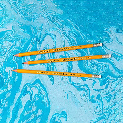 BIC Evolution Cased Pencil, 2 Lead, Yellow Barrel, 48-Count - color: Yellow, size: 1 Count (Pack of 1)