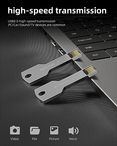 Bilious Custom Personalized USB Keychain Flash Drive 4/8/16/32/64/128/256GB, Metal Style Thumb Drive Portable Memory Stick, Waterproof Jump Pen Drive for Storage and Backup - size: Customized